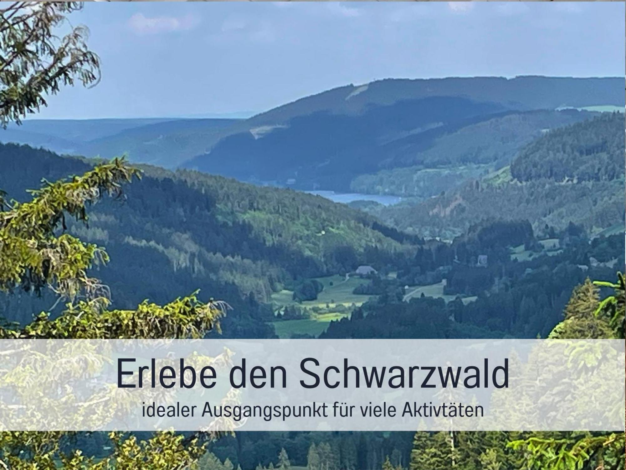 Ferienwohnungen Auszeit Langmatt ズルツブルク エクステリア 写真