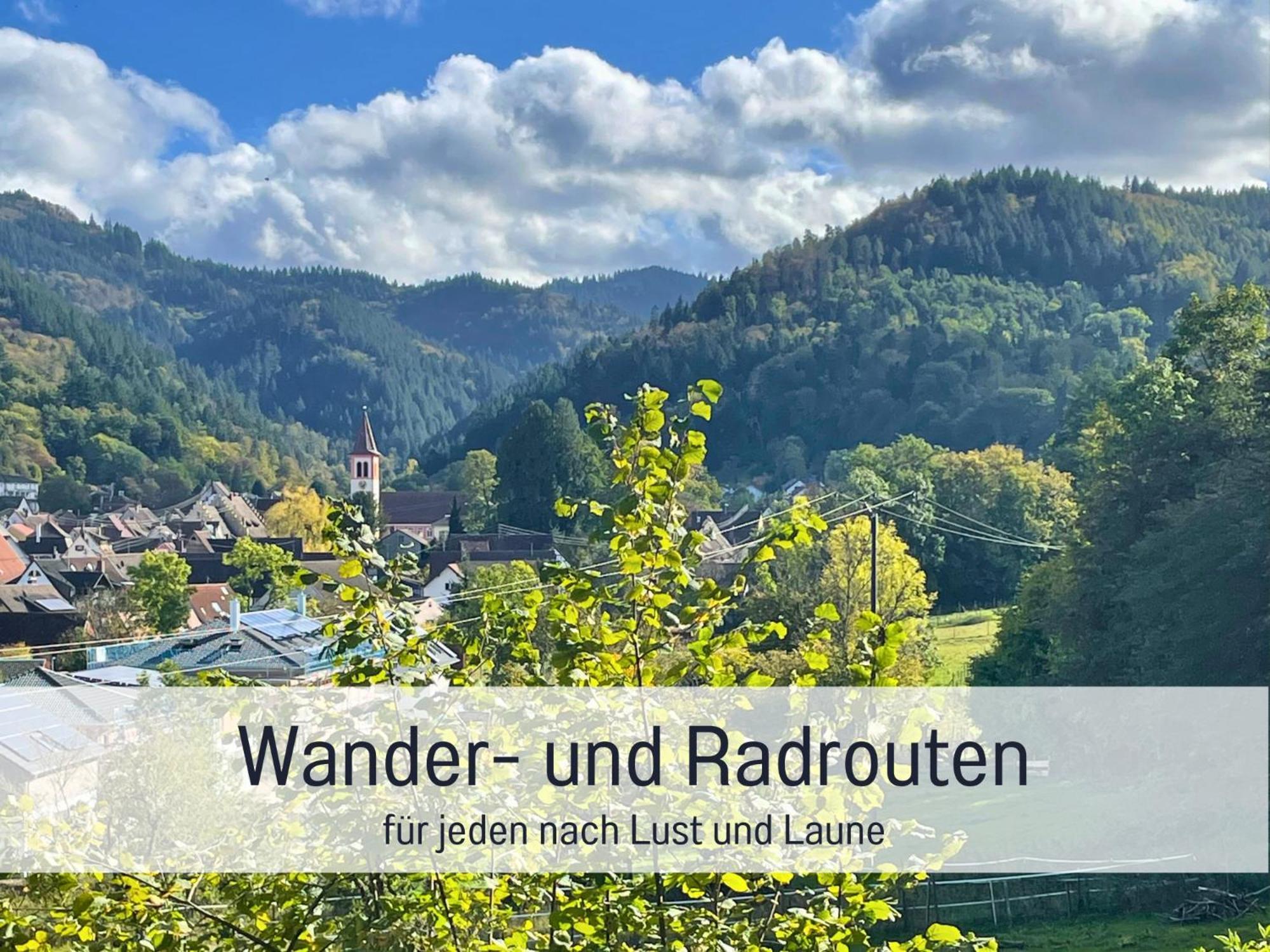 Ferienwohnungen Auszeit Langmatt ズルツブルク エクステリア 写真