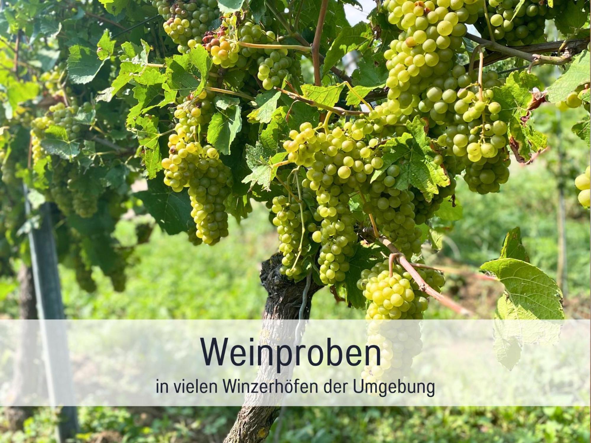 Ferienwohnungen Auszeit Langmatt ズルツブルク エクステリア 写真