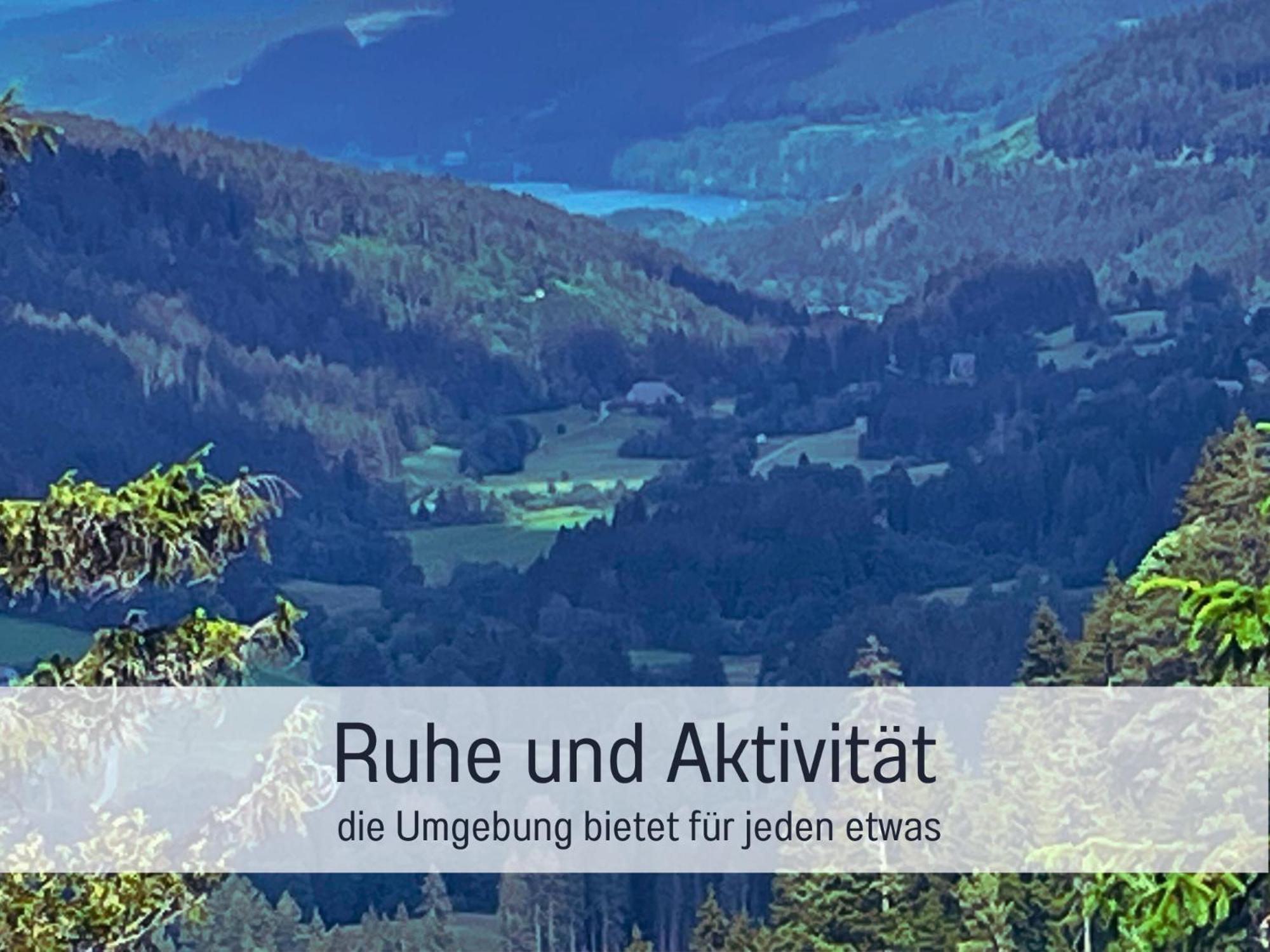 Ferienwohnungen Auszeit Langmatt ズルツブルク エクステリア 写真