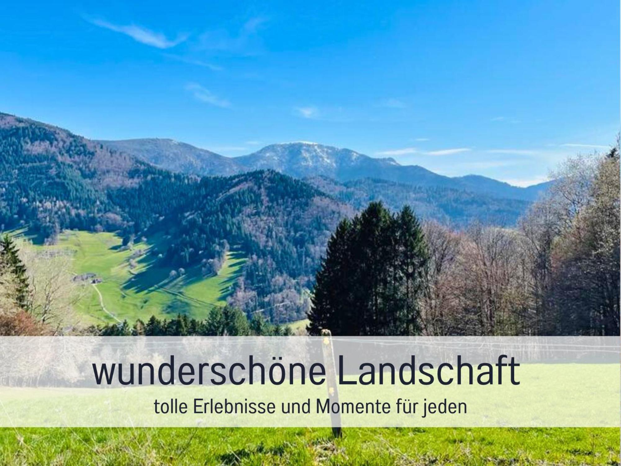Ferienwohnungen Auszeit Langmatt ズルツブルク エクステリア 写真